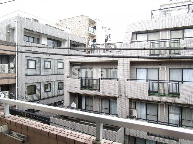 【展望】 | グリーンフォレスト