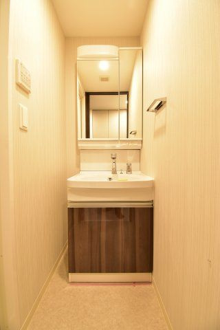 エステムコート難波Ⅶビヨンドの洗面所