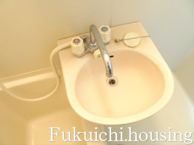 櫻ハウス大八木の洗面所