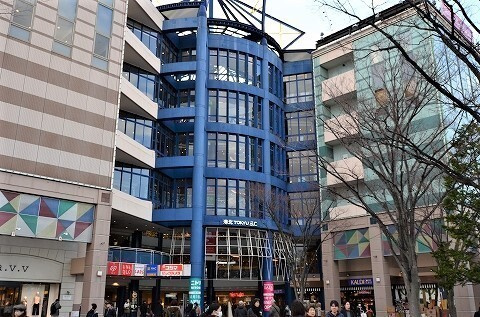 グランシェルの周辺|ショッピング施設「港北TOKYU SCまで403m」
