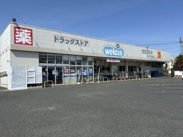 レオネクストブルーヴィラⅡの周辺