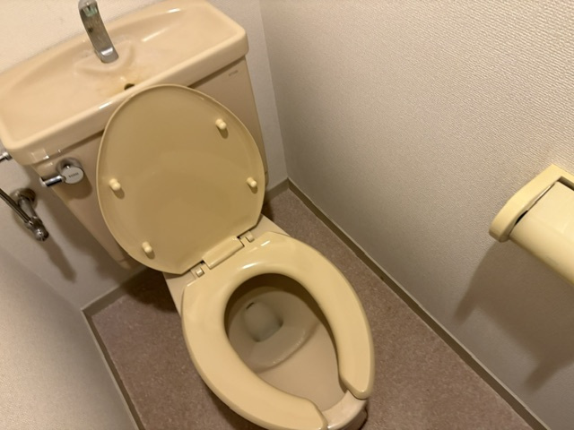 ディフロイデェのトイレ