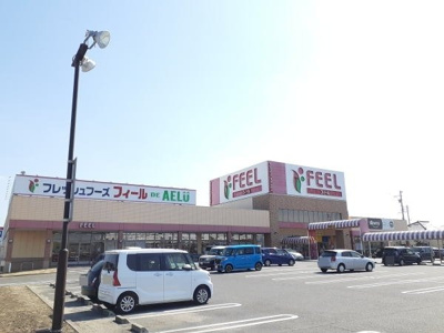 【周辺】 | インペリアルＢ | フィール アエル店まで1400m