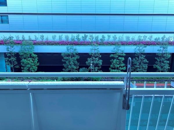 【展望】