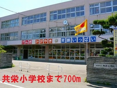 パラッツオわたなべの周辺|共栄小学校まで700m