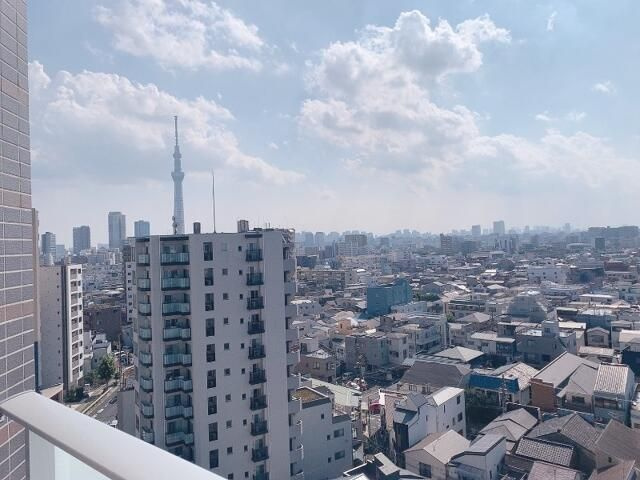 リヴシティ向島参番館の展望