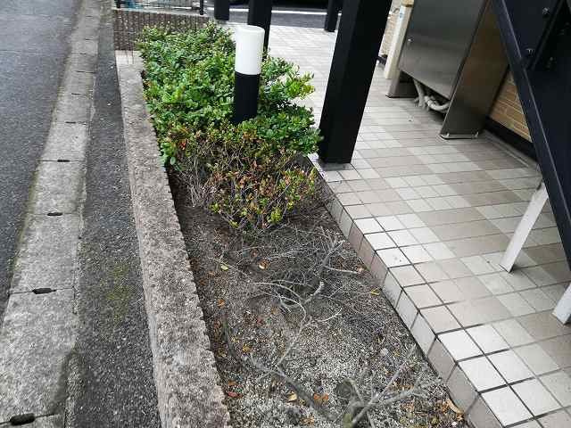 レオパレスあづまのその他