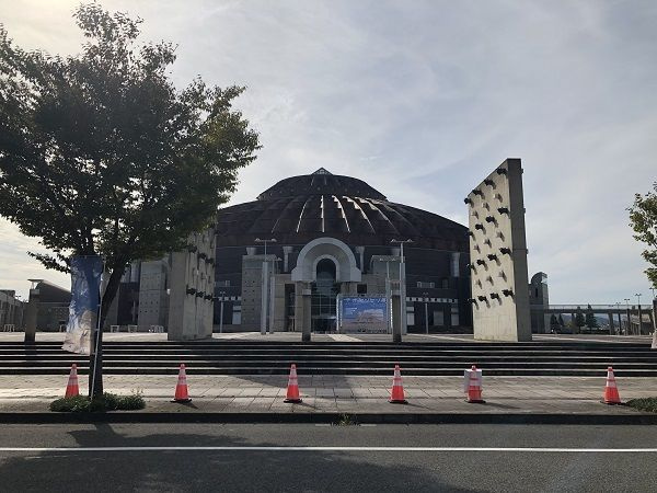 リリィ．モモのその他
