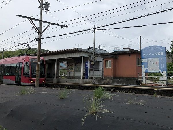 リリィ．モモのその他