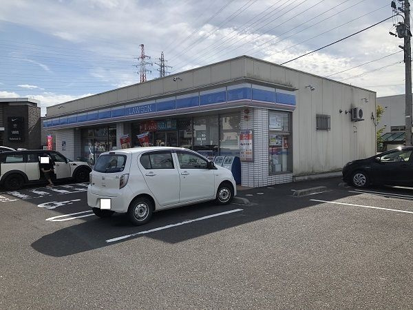 リリィ．モモのその他