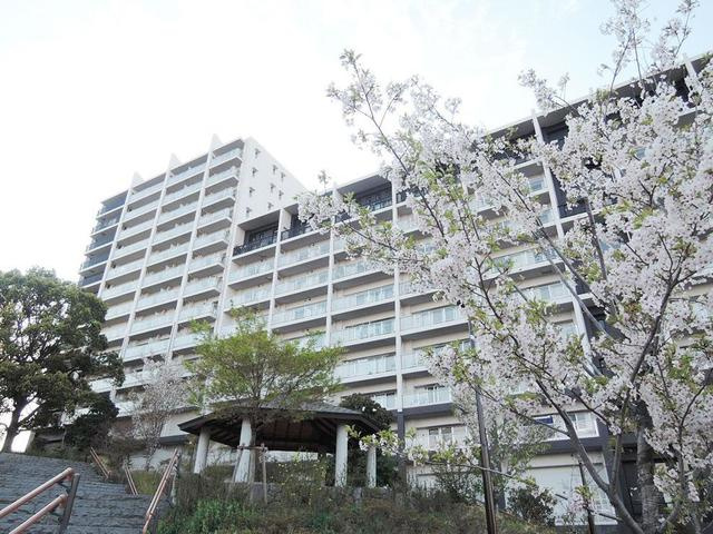 パークキューブ西ヶ原ステージの外観|物件の外観です