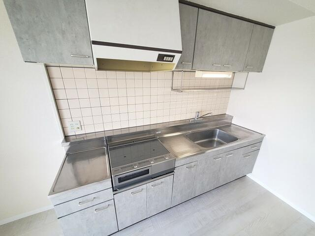 川崎市多摩区菅３丁目の賃貸マンションのキッチン