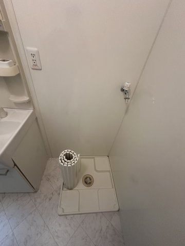 グランモアロイヤルの洗面所
