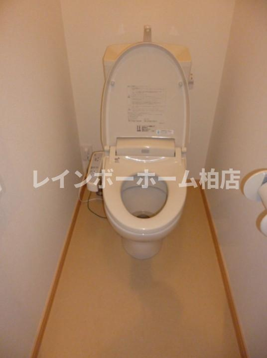 【仲介手数料：50％OFF】対象物件！のトイレ|トイレです
