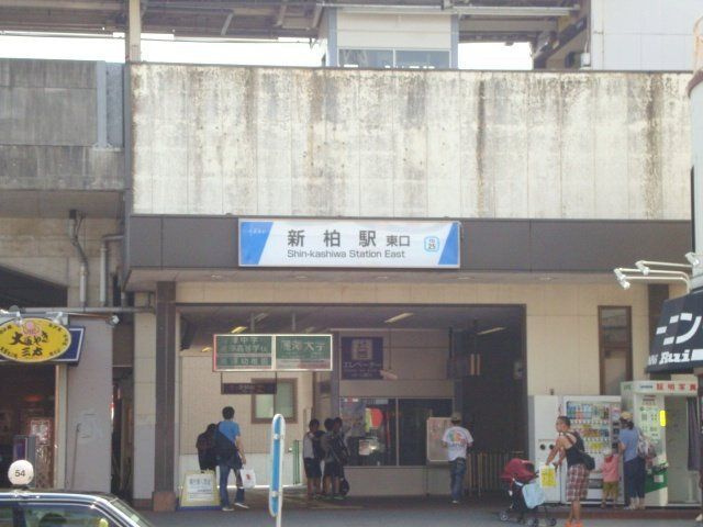 Banderuola