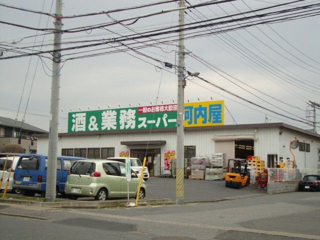 Banderuola