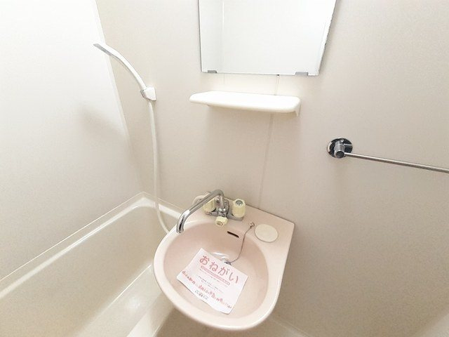 フォルティナドムスの洗面所