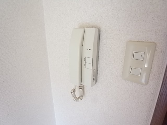 フォルティナドムスのセキュリティ