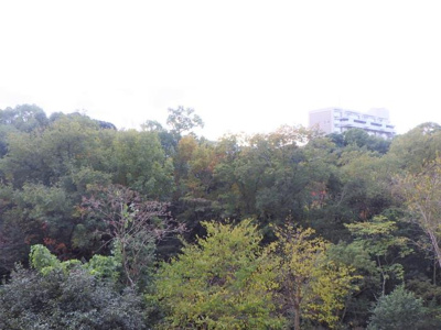 【展望】 | 泉北鴨谷台三丁