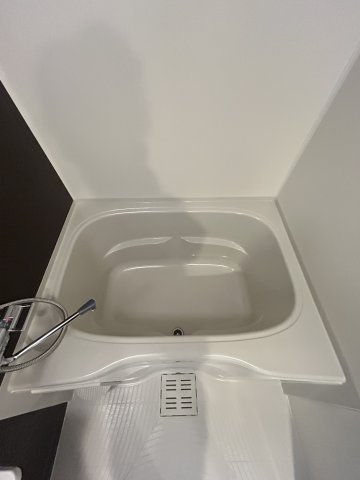 LaDouceur梅田Westの浴室