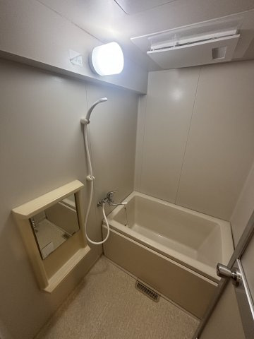 エクウス佃の浴室