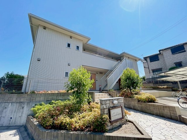 Luciole山本