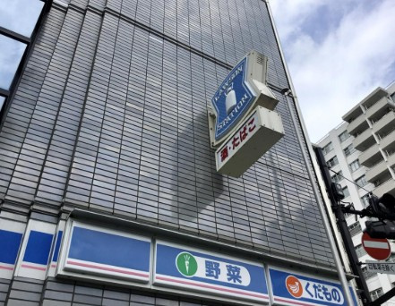 ドムス・スタイル高田馬場の周辺