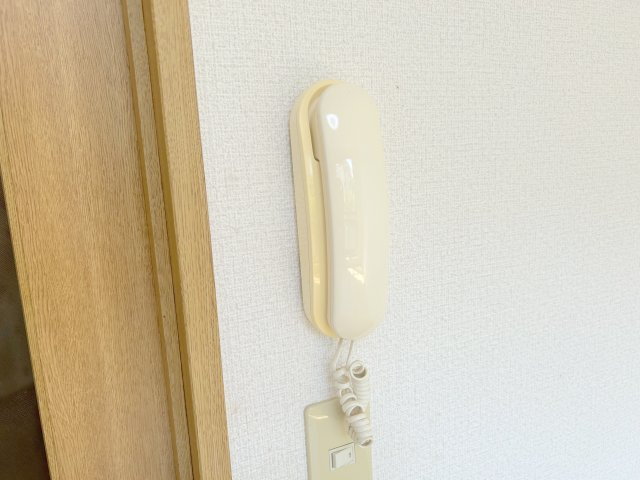 アルトセドロのセキュリティ