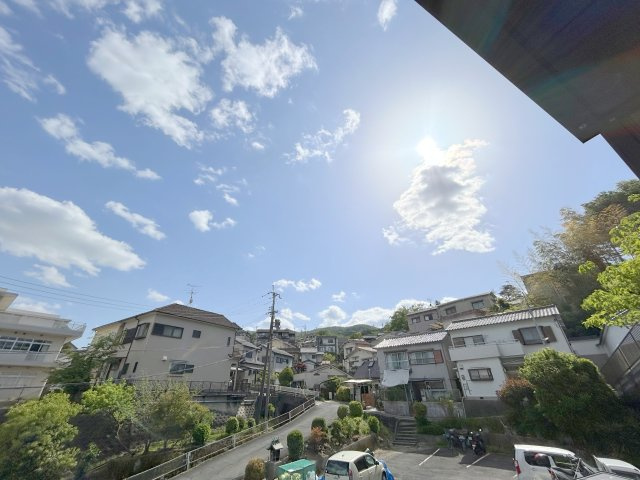 アルトセドロの展望