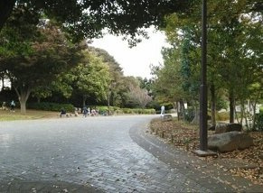 シティハイツエイトの周辺|花島公園まで1260m