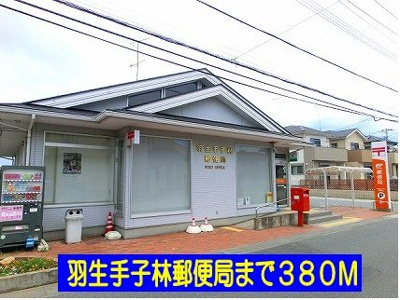 【周辺】 | サニープロムナード | 羽生手子林郵便局まで380m