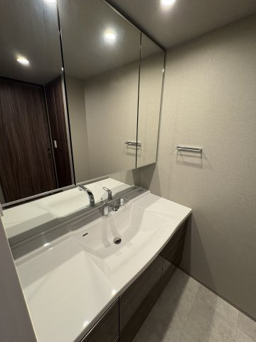 レーベン徳山ONE LUXEの洗面所