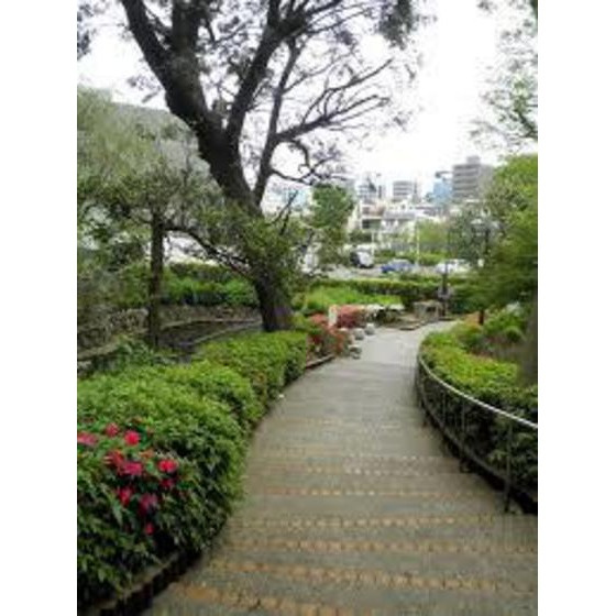 ベルテ中目黒の周辺|公園「中目黒南緑地公園まで650ｍ」中目黒南緑地公園 