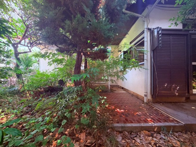 【その他】 | 練馬区南大泉４丁目　売地 | 【古屋あり】ゆとりのお庭が、暮らしに彩りと癒しを添えます
