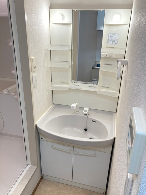 カルム茶屋坂（ＷＥＳＴ棟）の洗面所|★シャンプードレッサー★