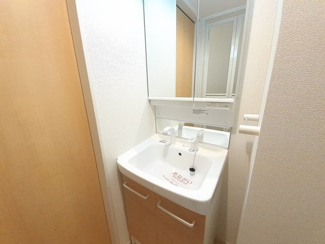 オーキッドの洗面所