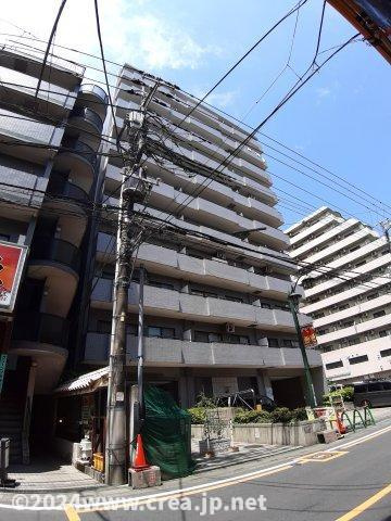 スカイビュウ11のその他