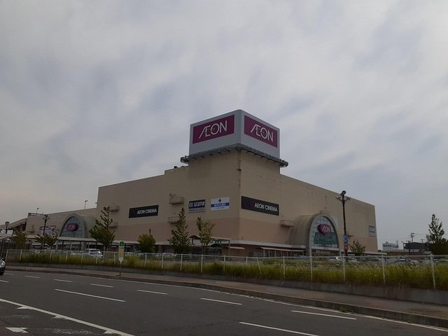 ライズひまわりの周辺|イオン新潟西店まで1100m