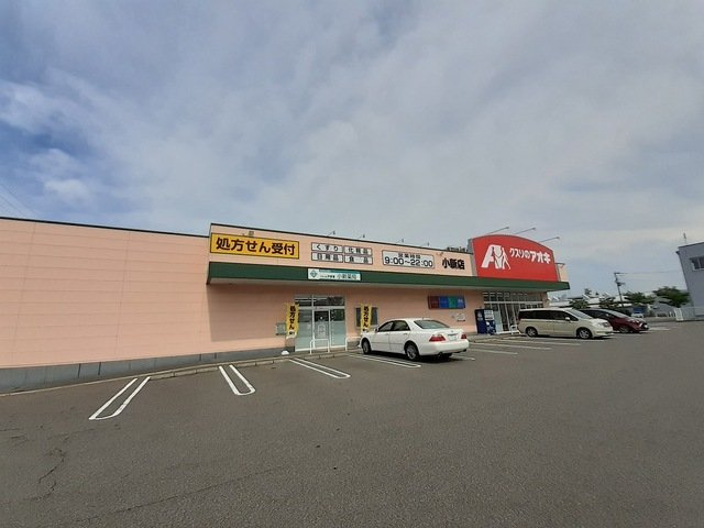 ライズひまわりの周辺|クスリのアオキ小新店まで350m