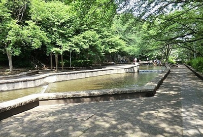 【周辺】 | アルトゥーラ | 城山公園まで230m