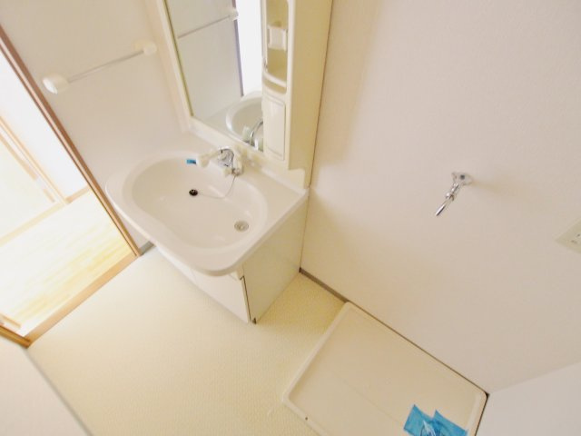 メゾンR２１７の洗面所
