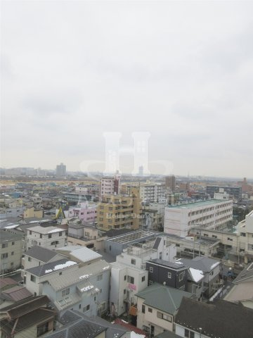 【展望】 | チェスターハウス川口