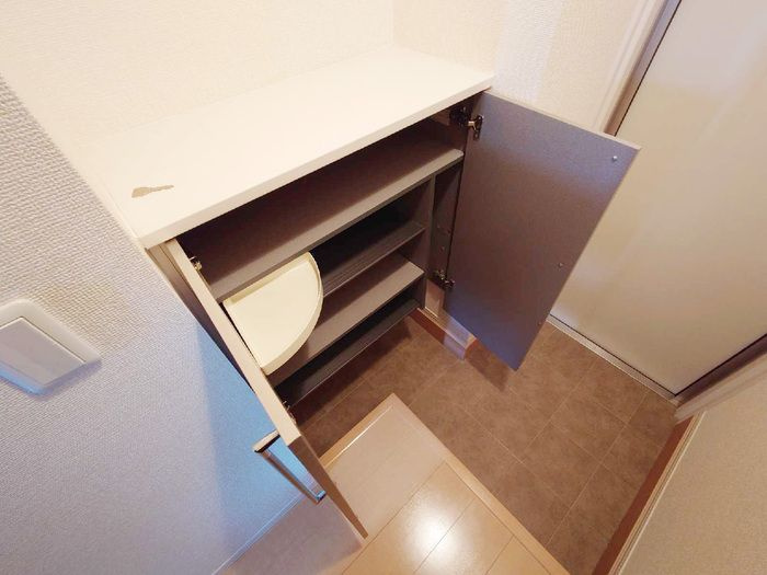 ソフィア南本町の玄関