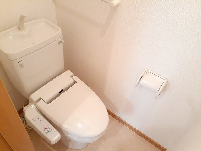 イリーデトウールのトイレ