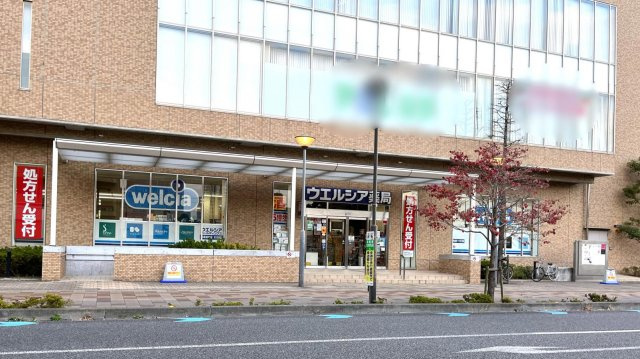 レオネクストカーサ　ドマーニⅡの周辺