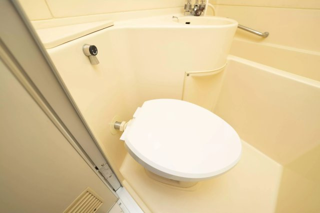 AP444 ハイタウン田園調布No.2 307のトイレ|



