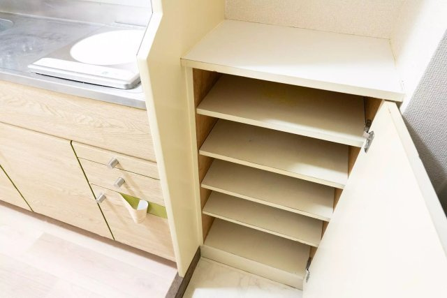 AP1000 ハイタウン蒲田 107の収納|



