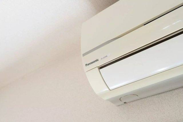 AP1000 ハイタウン蒲田 107の洋室|



