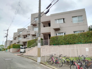 ライブタウン仁川の画像