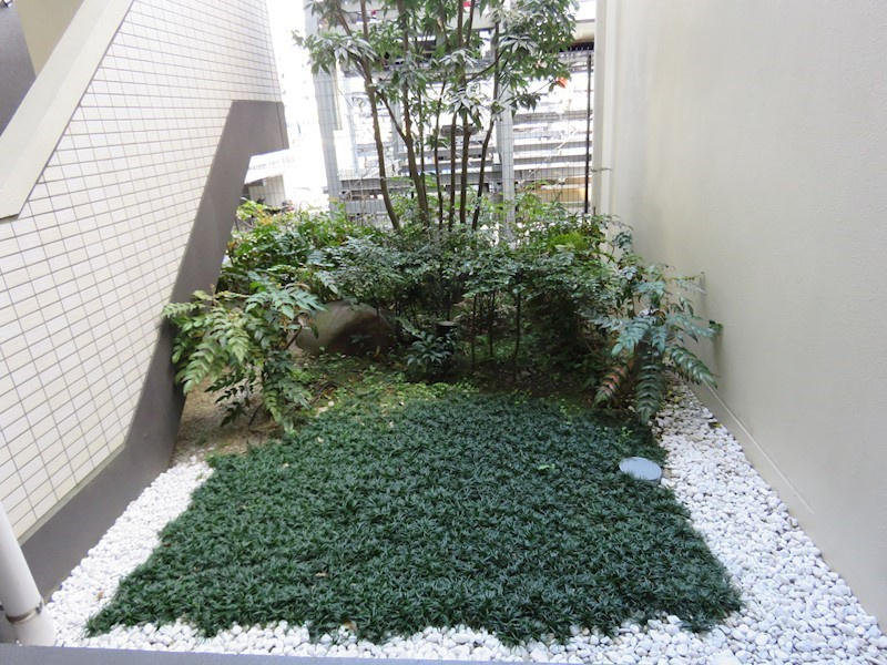 の-の画像